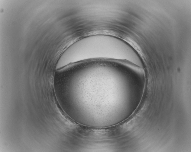 X0000088900849200706291503