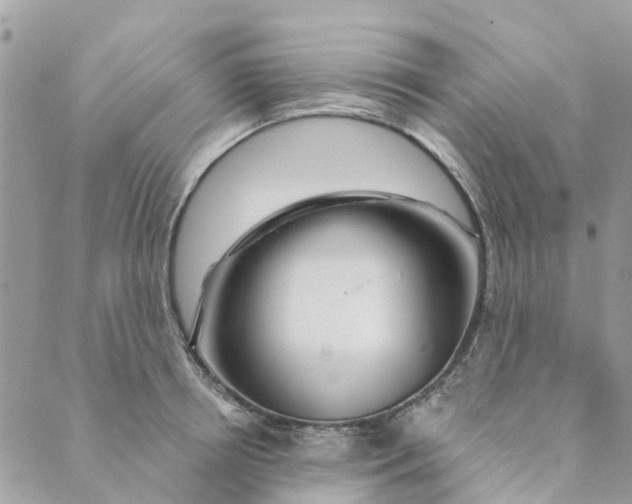 X0000088900850200706291503