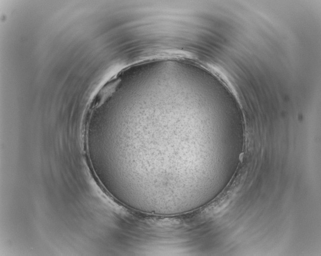 X0000088900851200706291503