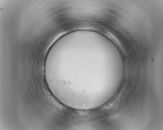 X0000088900852200706291503