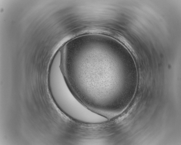 X0000088900853200706291503