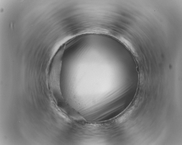 X0000088900854200706291503