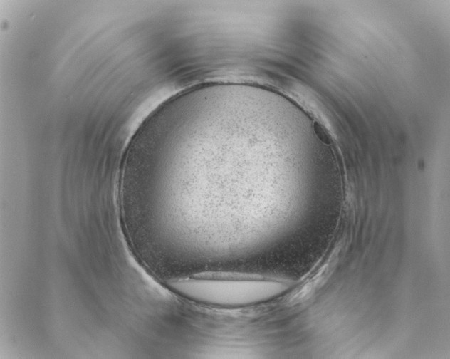 X0000088900855200706291503