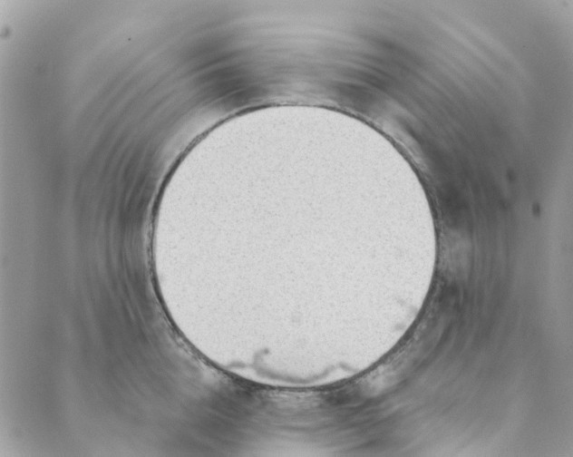 X0000088900856200706291503