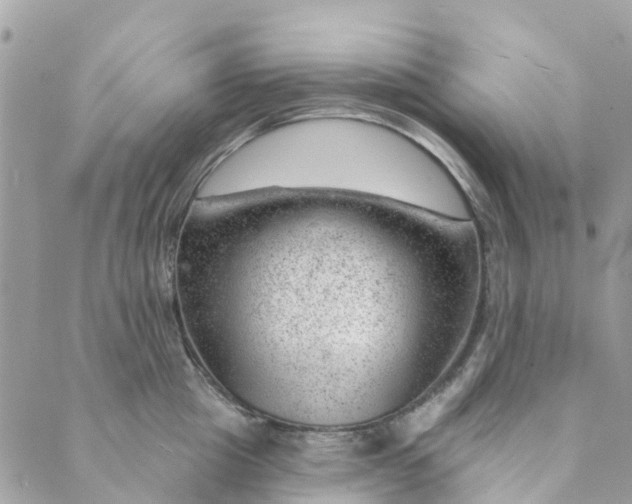 X0000088900857200706291503