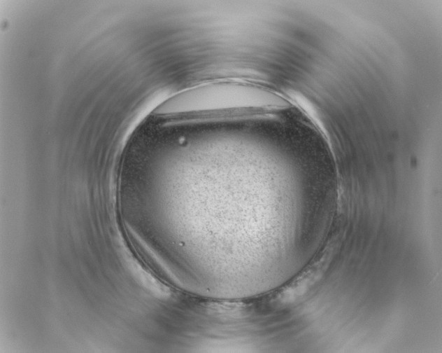 X0000088900859200706291503