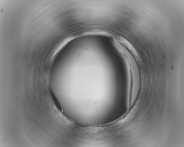 X0000088900860200706291503