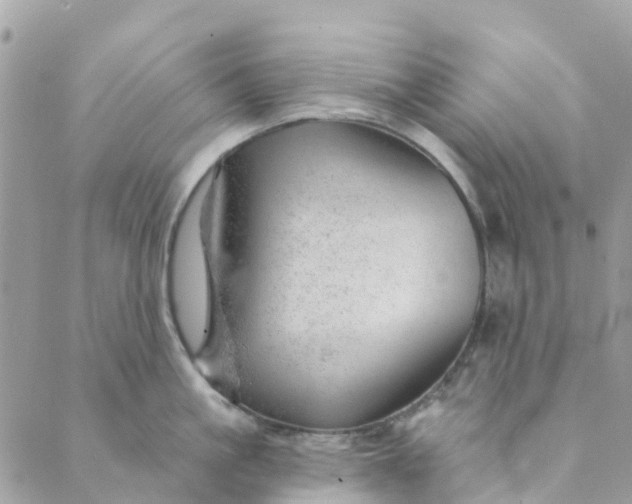 X0000088900861200706291503