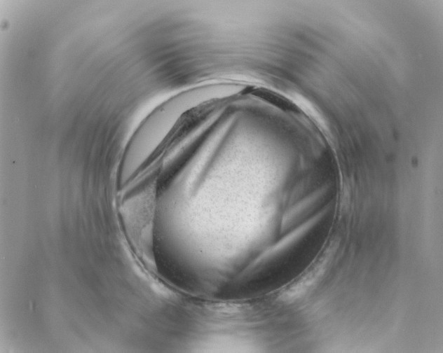 X0000088900862200706291503