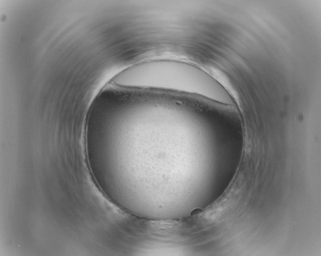 X0000088900863200706291503