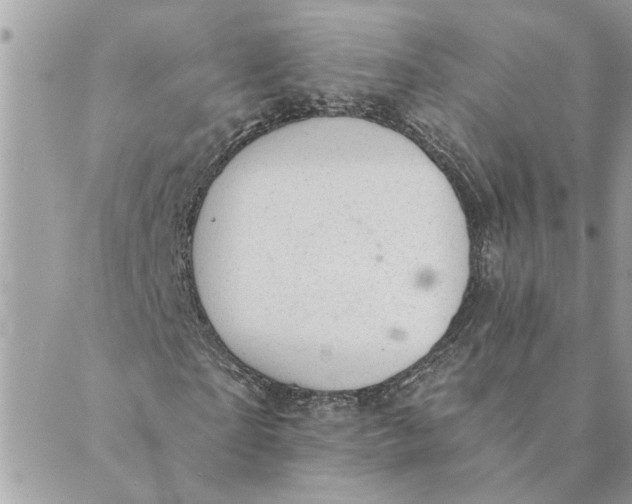 X0000088900865200706291502