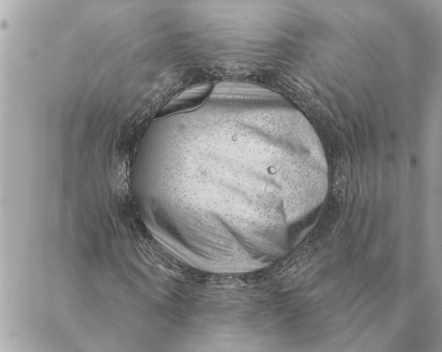 X0000088900866200706291502