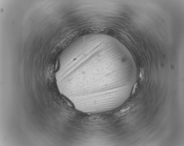 X0000088900867200706291502