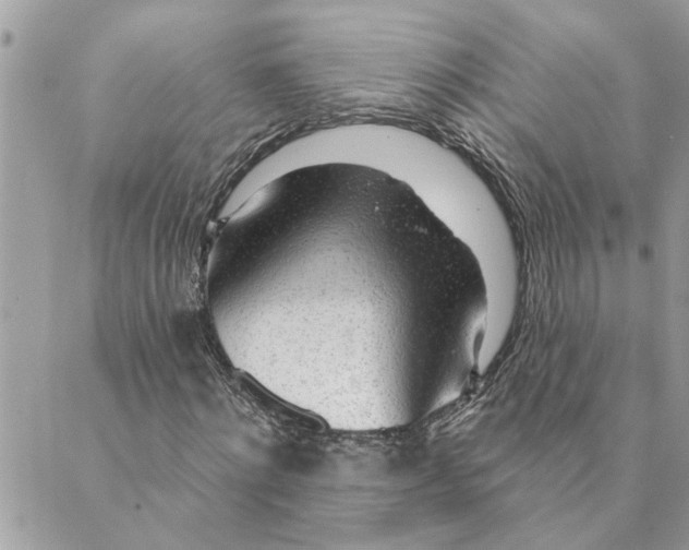 X0000088900868200706291502