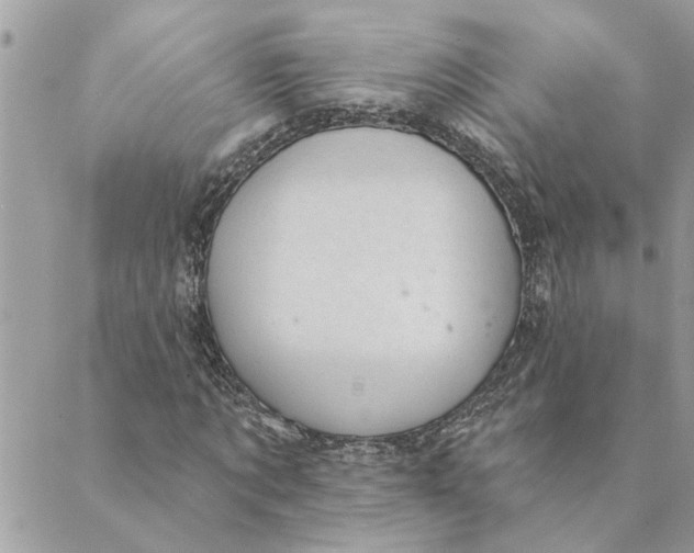 X0000088900869200706291502