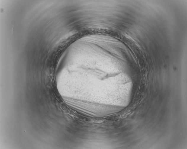 X0000088900870200706291502