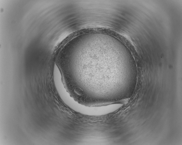 X0000088900871200706291502