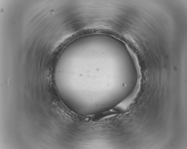 X0000088900872200706291502