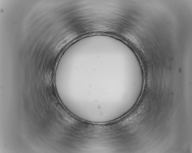 X0000088900873200706291502