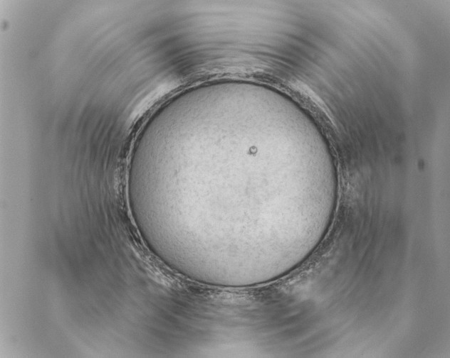 X0000088900874200706291502