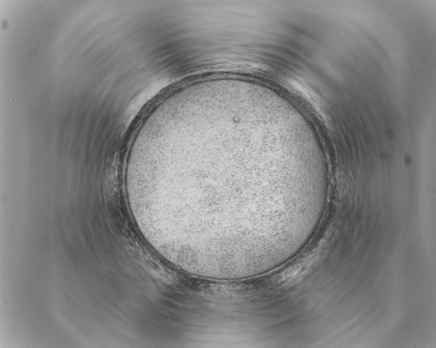 X0000088900875200706291502