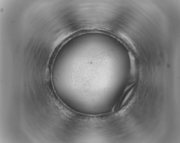 X0000088900876200706291502