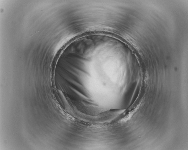 X0000088900877200706291502