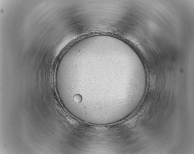 X0000088900878200706291502