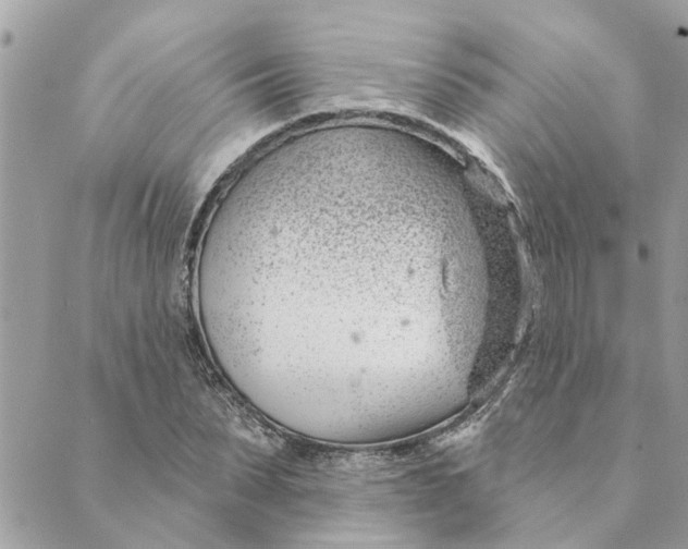 X0000088900879200706291502