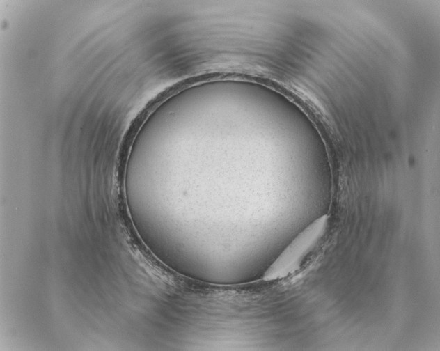 X0000088900880200706291502