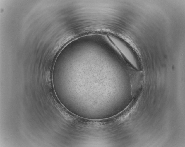 X0000088900881200706291502