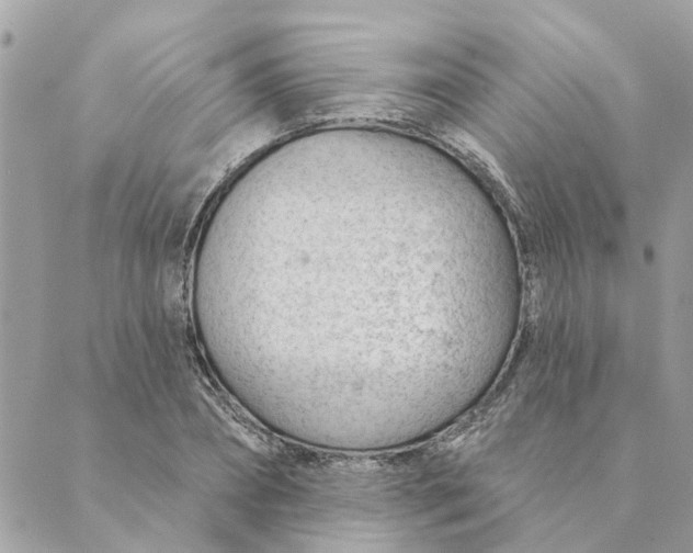 X0000088900882200706291502