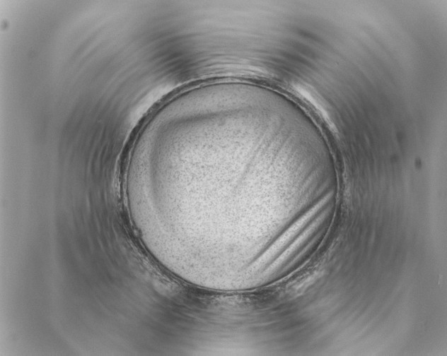 X0000088900883200706291502