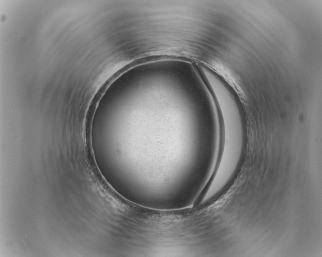 X0000088900884200706291502