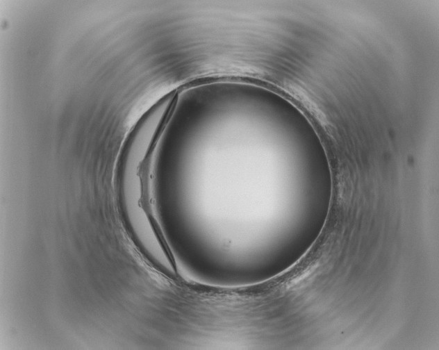 X0000088900885200706291502