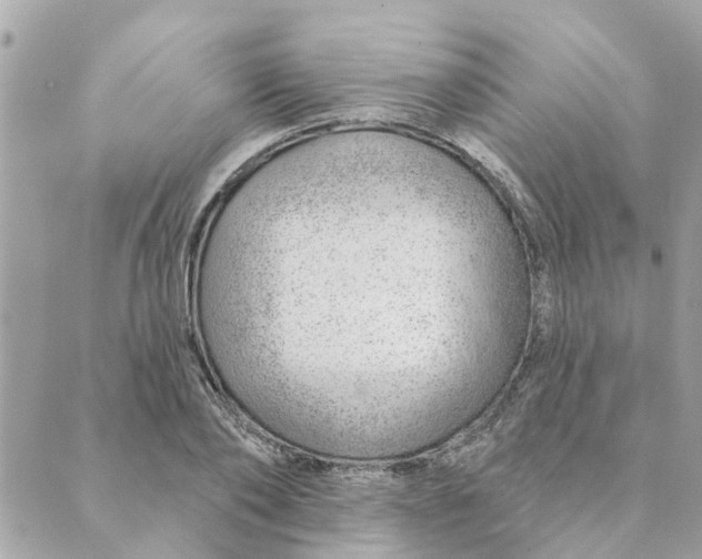 X0000088900886200706291502