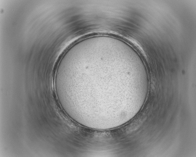 X0000088900887200706291502