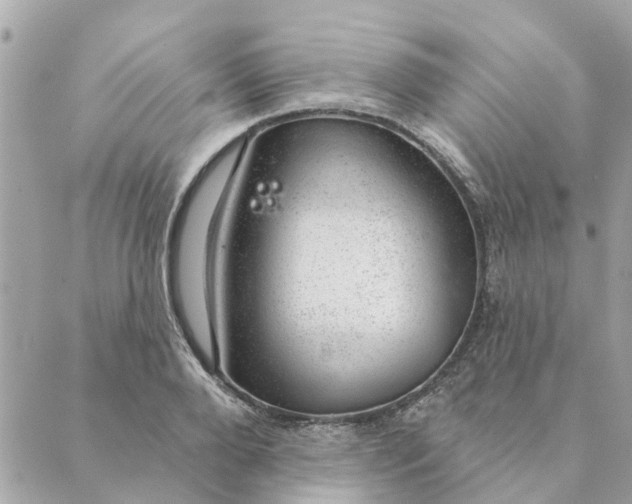 X0000088900888200706291502