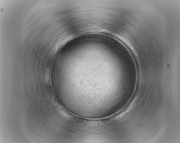 X0000088900889200706291502