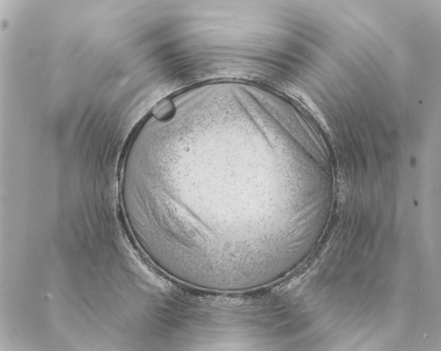 X0000088900890200706291502