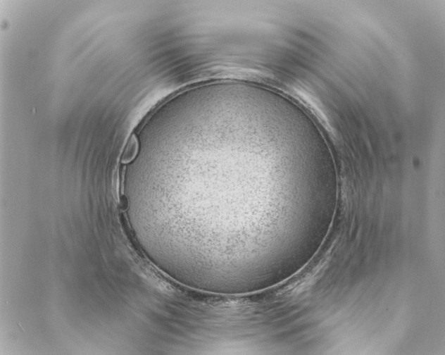 X0000088900891200706291502