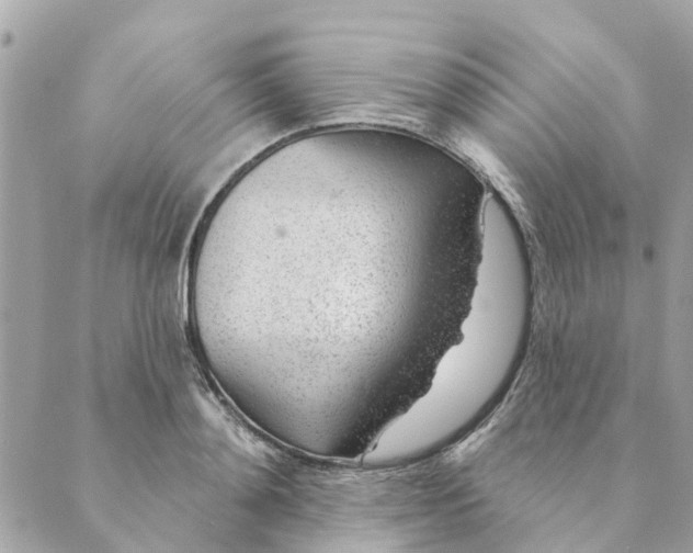 X0000088900892200706291502