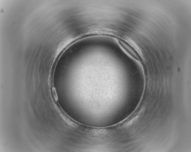 X0000088900893200706291502