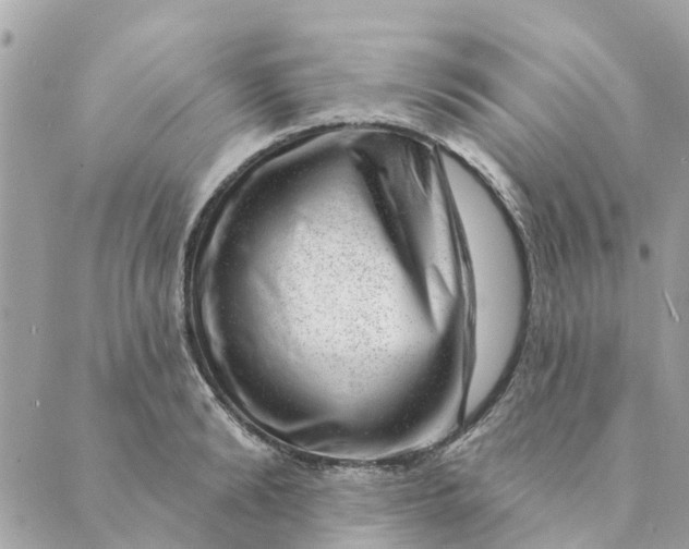 X0000088900894200706291502