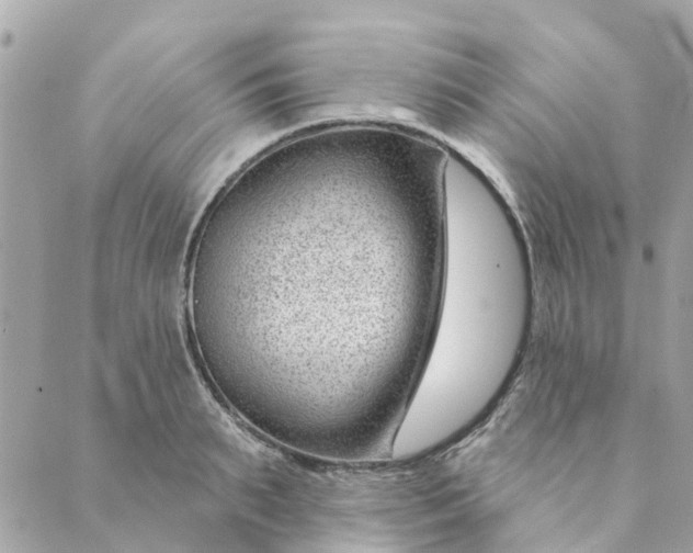 X0000088900895200706291502