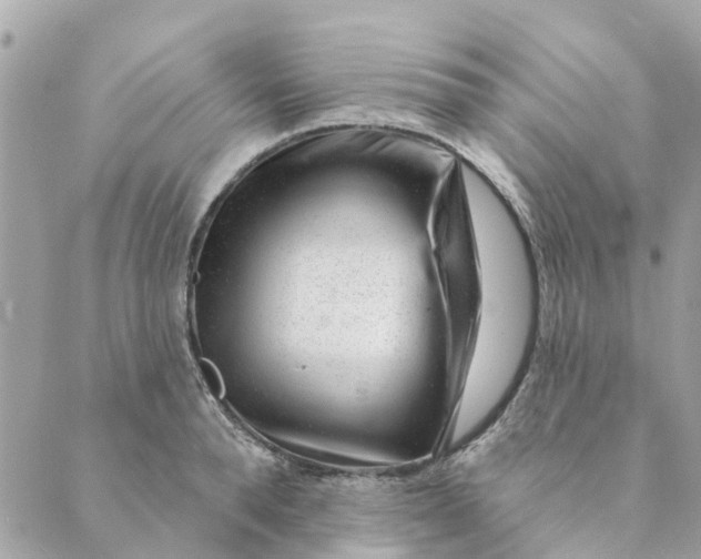 X0000088900896200706291502