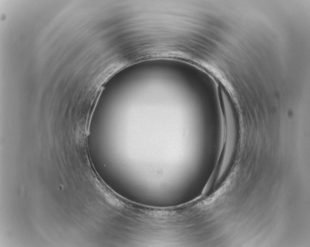 X0000088900897200706291502