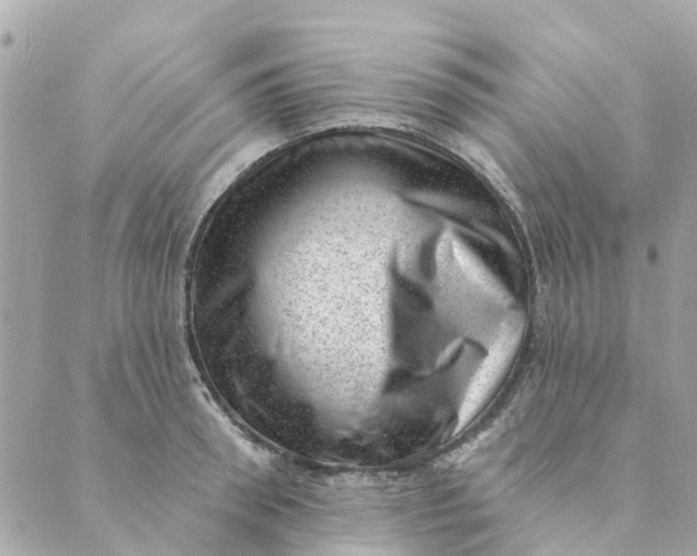 X0000088900898200706291502