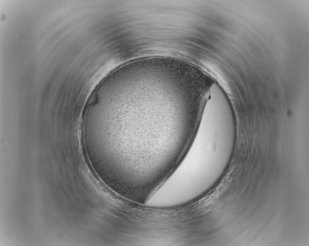 X0000088900899200706291501