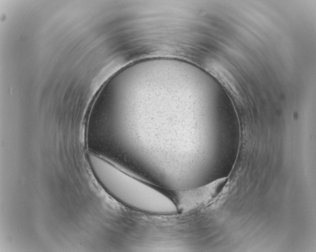 X0000088900900200706291501